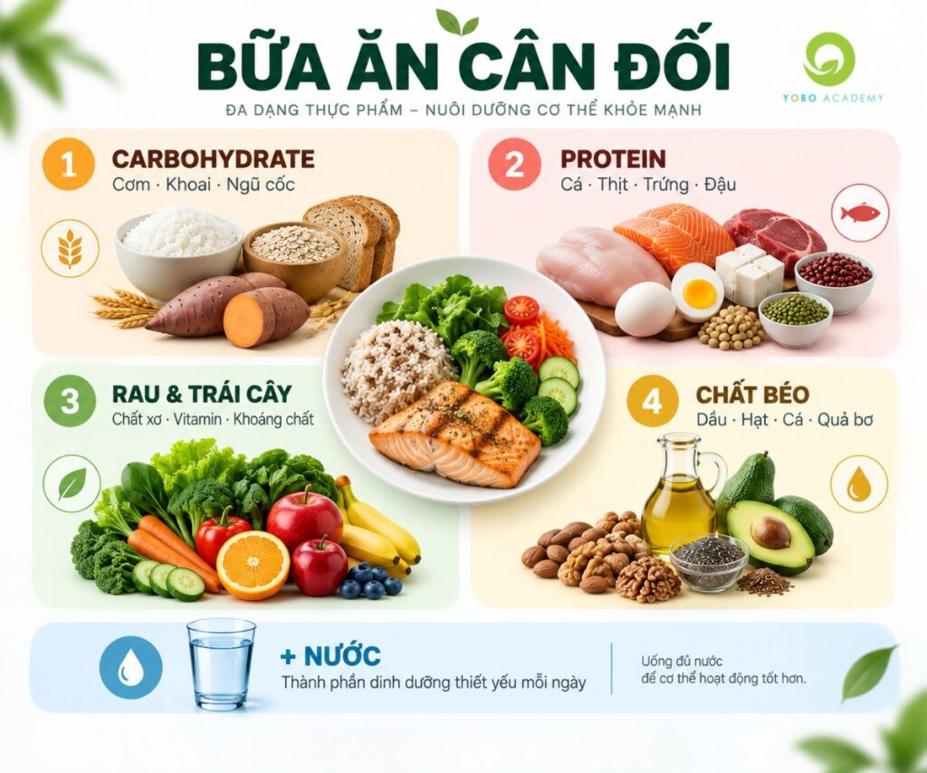 Các nhóm thực phẩm trong một bữa ăn cân đối